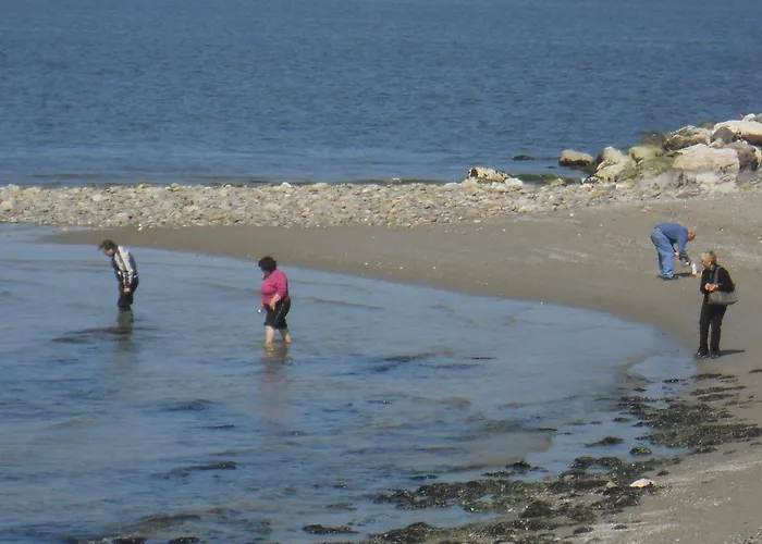 Aparthotel Darsena Cattolica